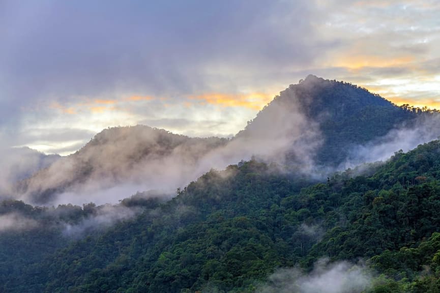 Chocó Cloud Forest, Ecuador