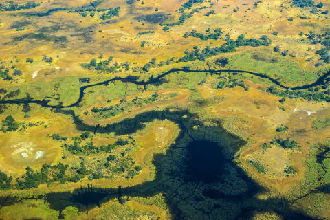 Birdseye view of rivers, streams and grasslands in the Okavango Delta, Botswana