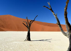 Namibia Dessert dunes