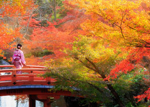 Kyoto, Japan during autumn. 