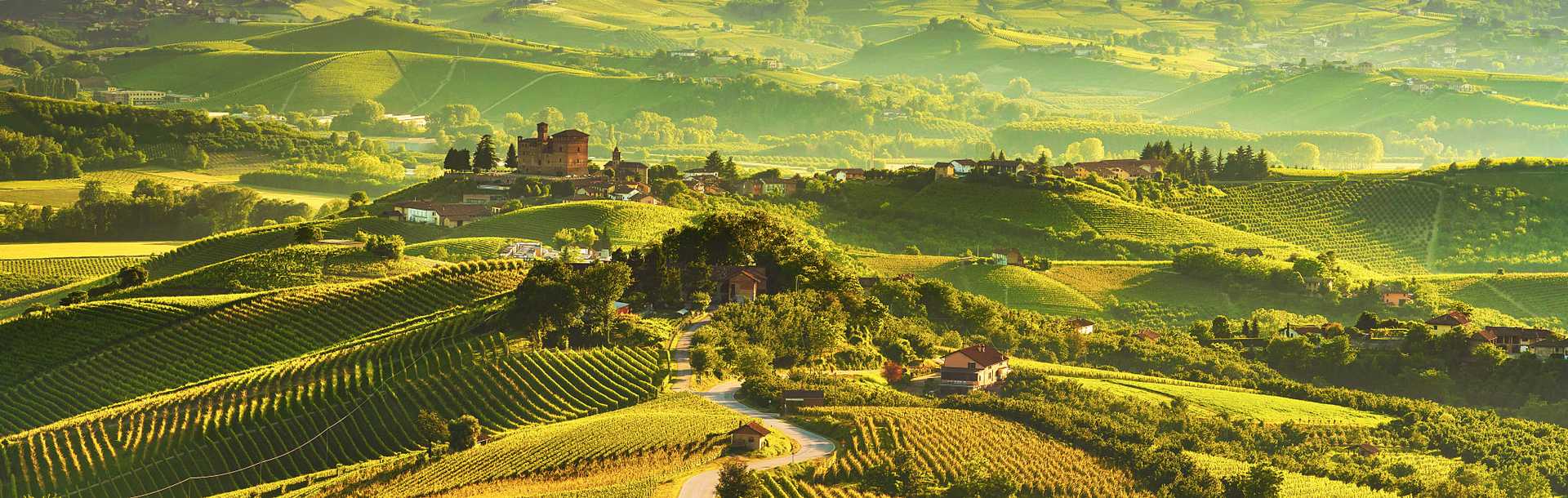 Vineyards surrounding Grinzane Covour in the Piedmont region of Italy