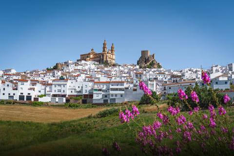 Olvera Castle and Cathedral in Olvera, Andalusia, Spain